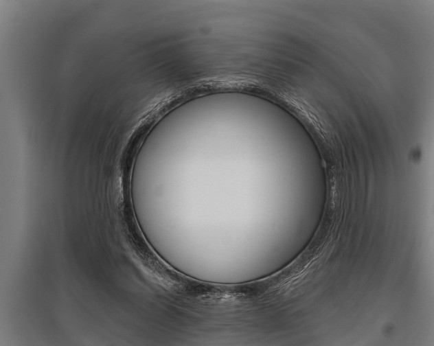X0000096130254200801180836