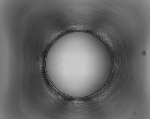 X0000096130255200801180836