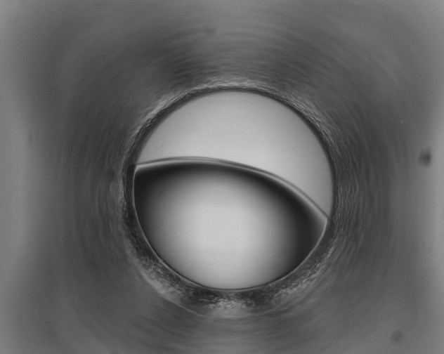 X0000096130256200801180836