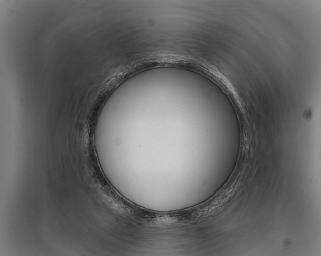 X0000096130257200801180836