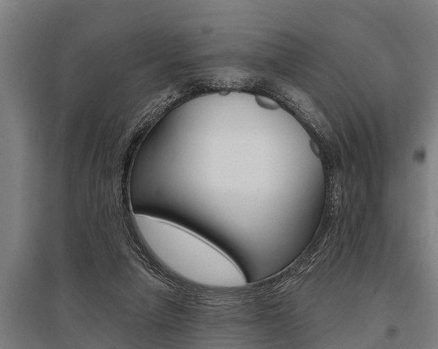 X0000096130258200801180836