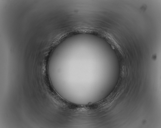 X0000096130259200801180836