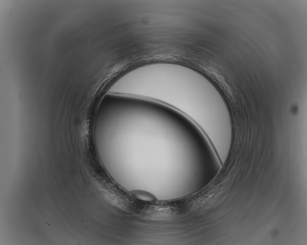 X0000096130260200801180836