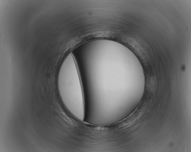 X0000096130261200801180836