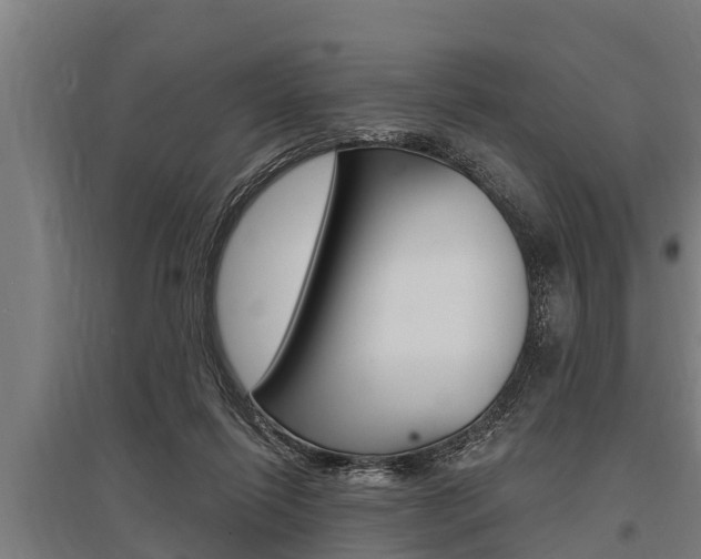 X0000096130262200801180836