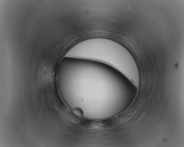 X0000096130263200801180836