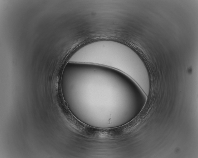 X0000096130264200801180836