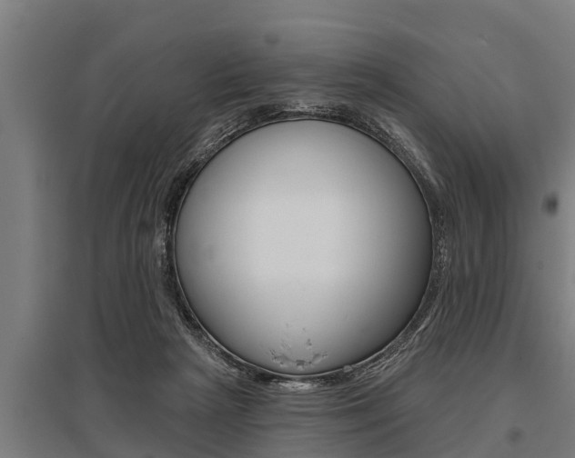 X0000096130265200801180836