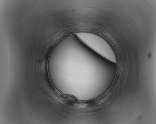 X0000096130266200801180836