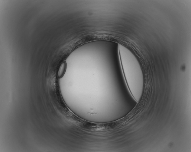 X0000096130267200801180836