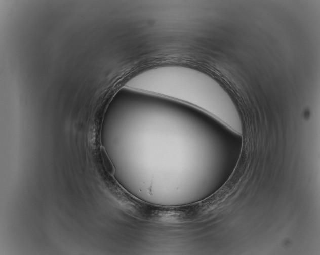 X0000096130268200801180836