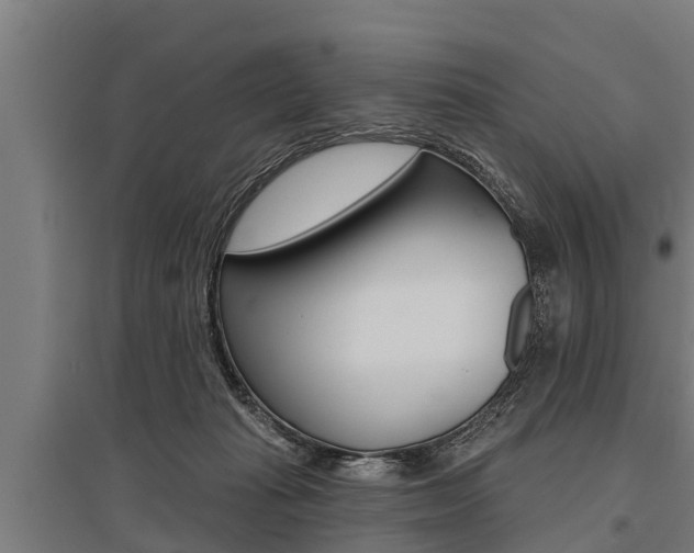 X0000096130269200801180836
