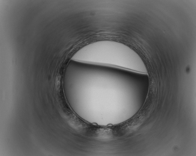 X0000096130271200801180836