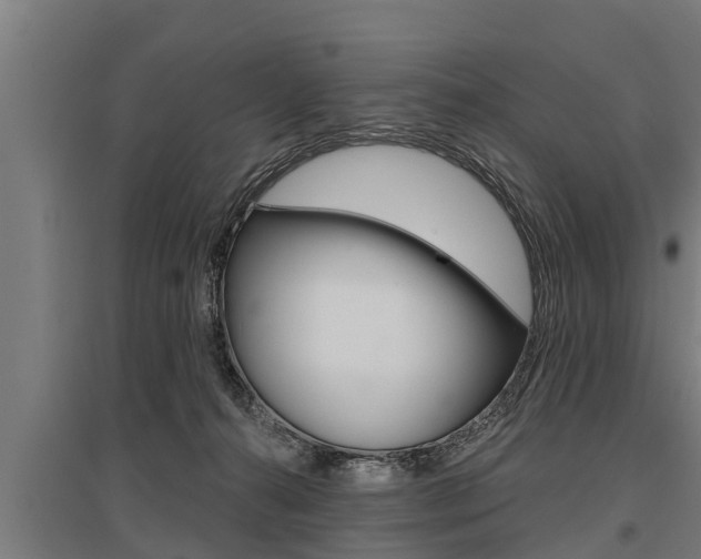 X0000096130272200801180836