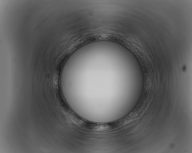 X0000096130274200801180836