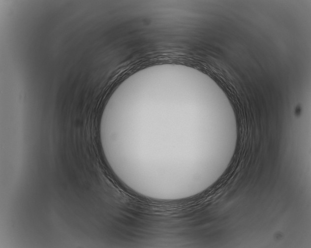 X0000096130276200801180836