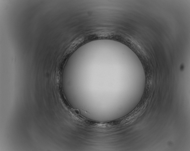 X0000096130277200801180836