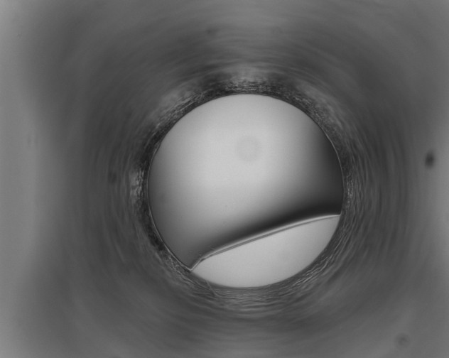X0000096130278200801180836