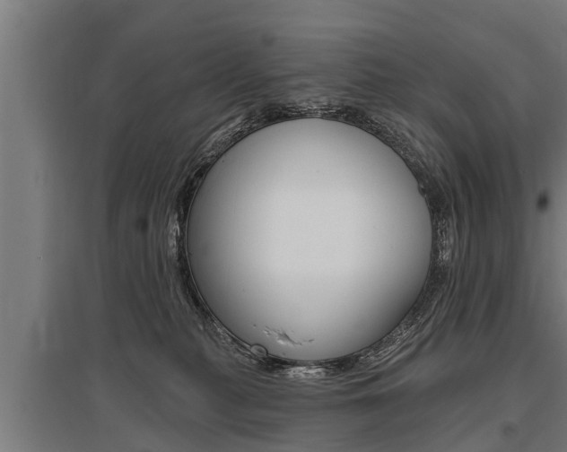 X0000096130279200801180836