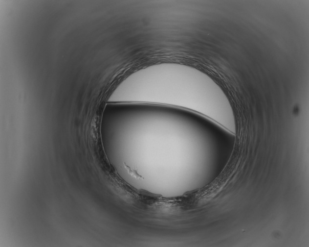 X0000096130280200801180836
