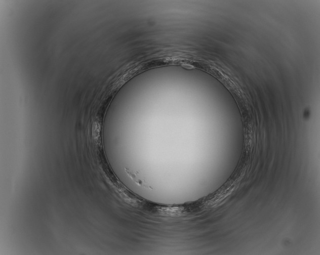 X0000096130281200801180836