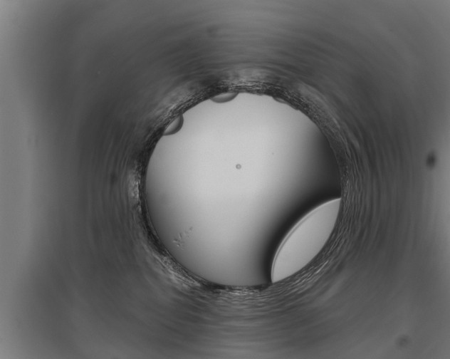 X0000096130282200801180836