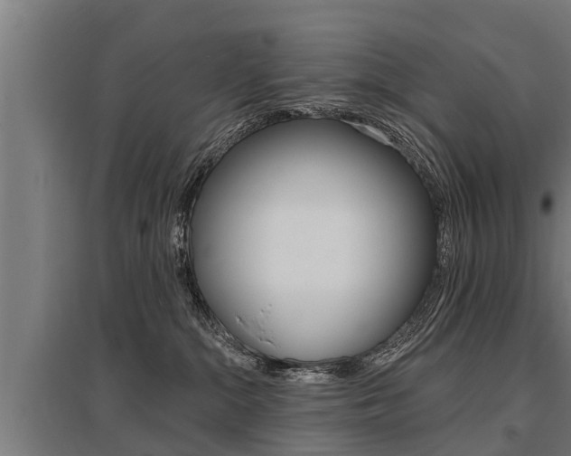 X0000096130284200801180836