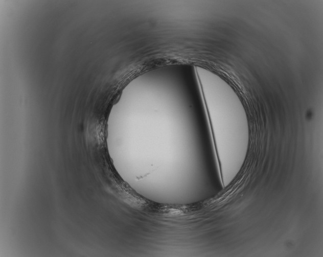 X0000096130285200801180836
