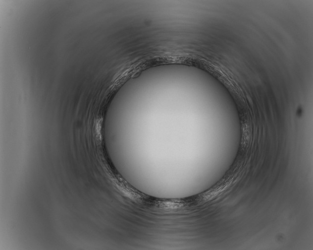X0000096130286200801180836