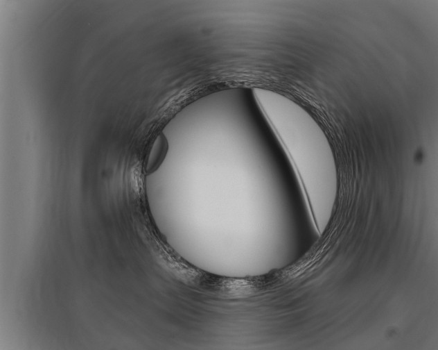 X0000096130287200801180836