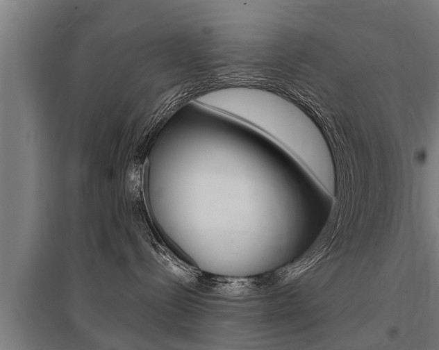 X0000096130288200801180836