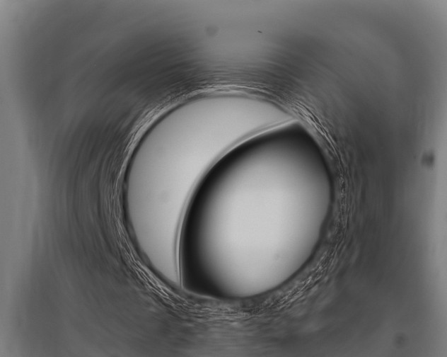 X0000096130289200801180835