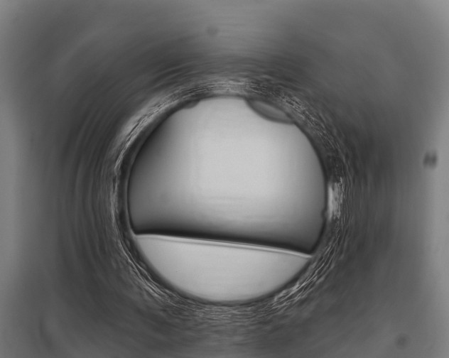 X0000096130291200801180835