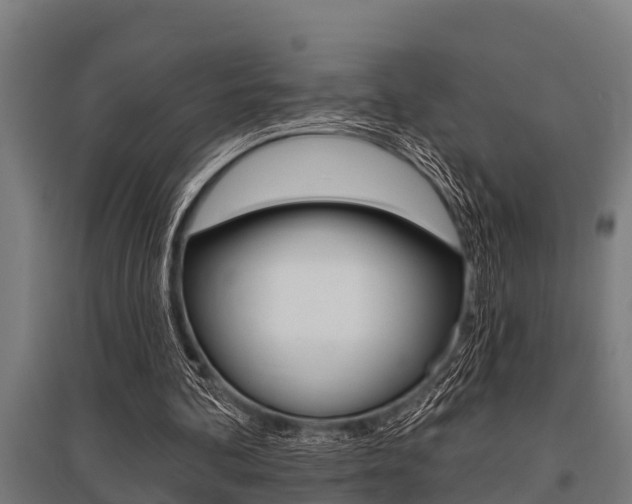 X0000096130292200801180835