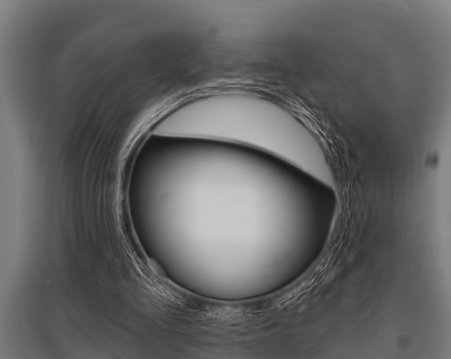 X0000096130293200801180835