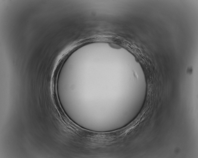 X0000096130294200801180835