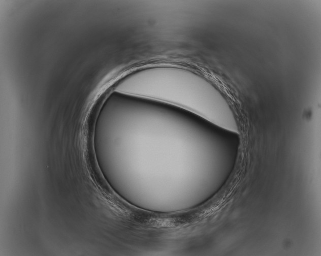 X0000096130295200801180835