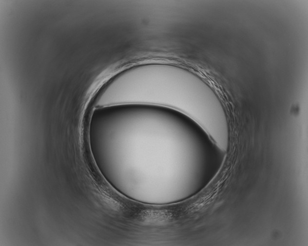 X0000096130296200801180835