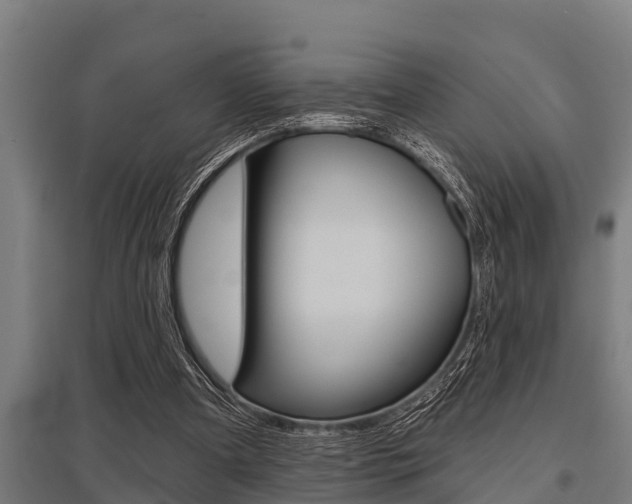 X0000096130297200801180835