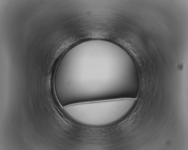 X0000096130299200801180835