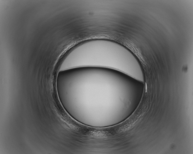 X0000096130300200801180835