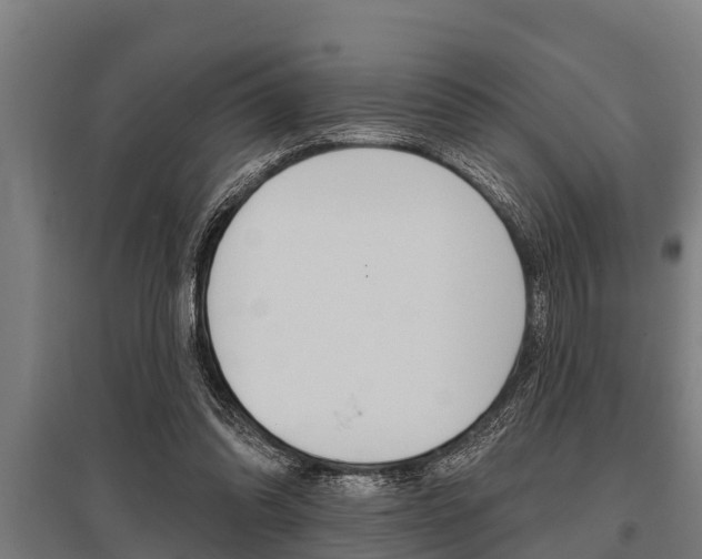 X0000096130302200801180835