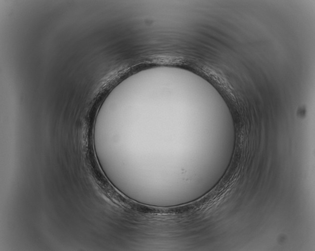 X0000096130303200801180835
