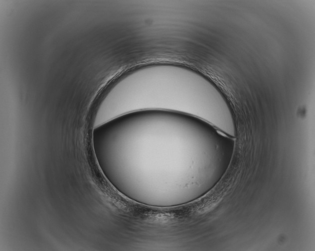 X0000096130304200801180835