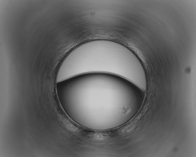 X0000096130305200801180835
