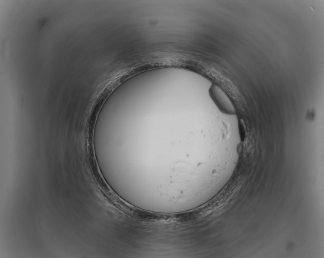 X0000096130306200801180835