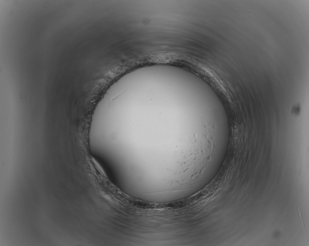 X0000096130307200801180835