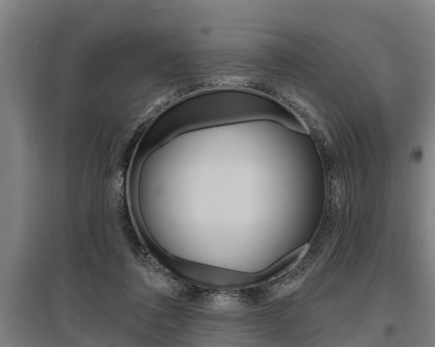 X0000096130308200801180835
