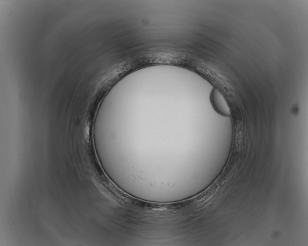 X0000096130310200801180835
