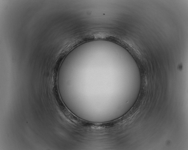 X0000096130311200801180835